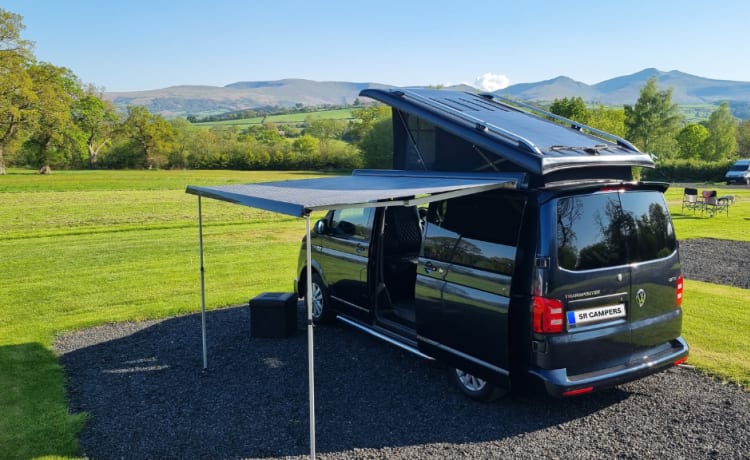 Charli  – Volkswagen-campervan uit 2018 met 4 slaapplaatsen