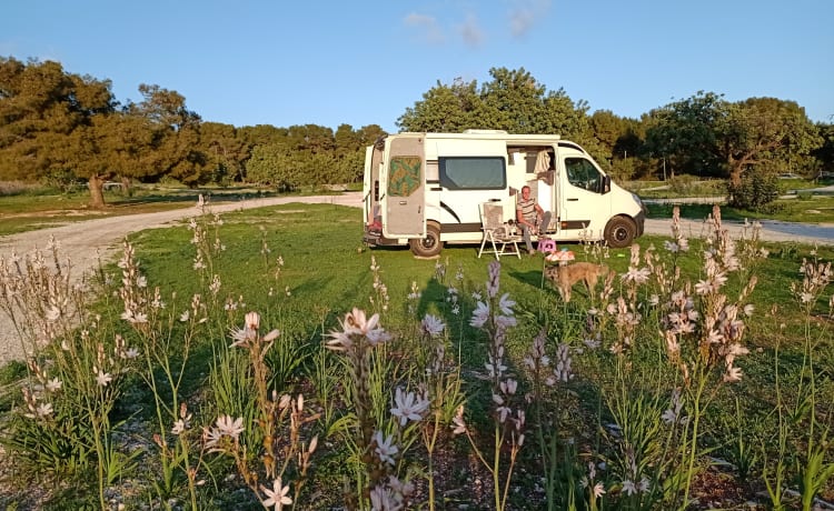 Happy camper – 2p Renault Buscamper uit 2013