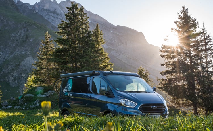 LE CUSTOM – DER GRÖSSTE DER KLEINEN TRANSPORTER