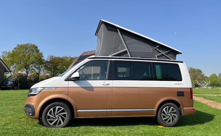 2p Volkswagen bus uit 2023