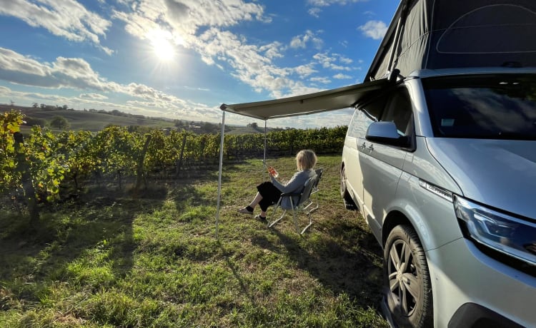 4 p Volkswagen california uit 2022 // huurders vanaf 18 jaar toegestaan