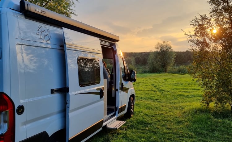 Globus – Well-equipped, cozy bus camper with a unique view