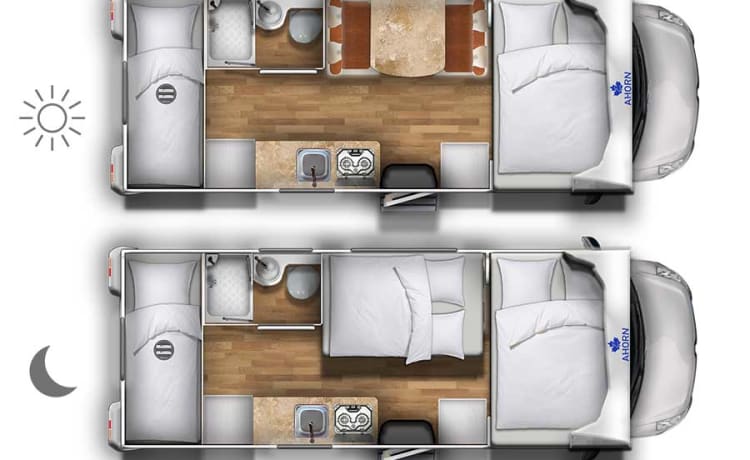 Familiecamper – Brandneuer Renault-Alkoven für 4-6 Personen