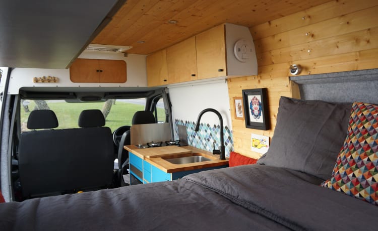 Art – Camper Mercedes Sprinter a 3 posti letto - Realizzato a mano, unico nel suo genere.