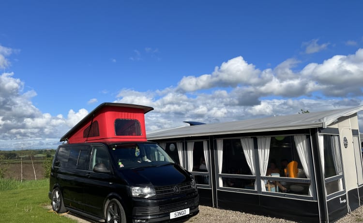 Black Beauty – Schwarze Schönheit, unser VW T6 Top-Transporter