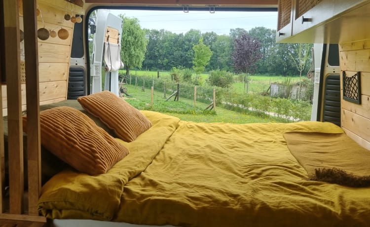 Willem – Willem - Accogliente camper per autobus!