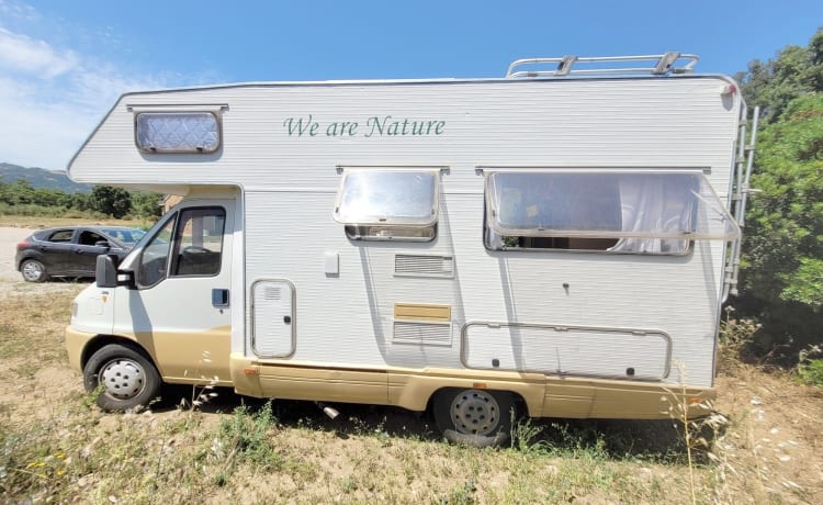 Freddy – "Camper Mansardato Fiat Ducato : Classico Vintage Familiare"