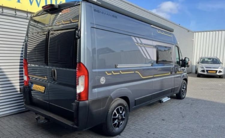 Benimar – Two-person Fiat bus camper from 2019, as new