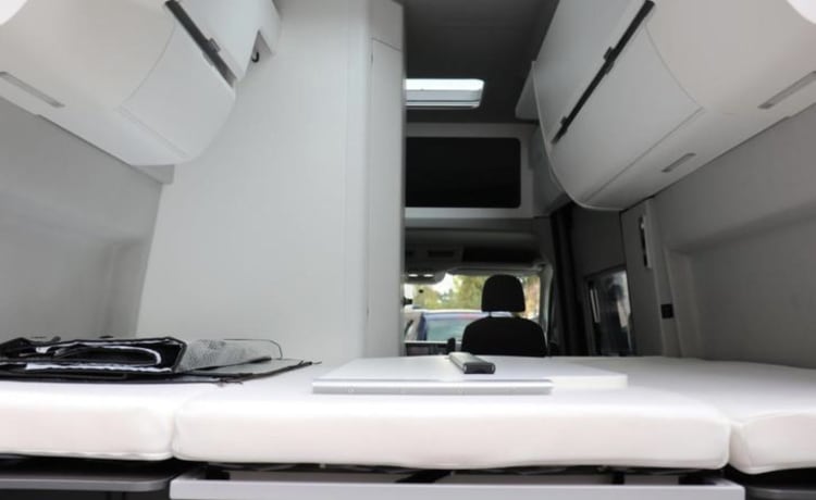 4 personen  – 4p VW GRAND CALIFORNIA automatic all luxury toilet and shower BJ 2022