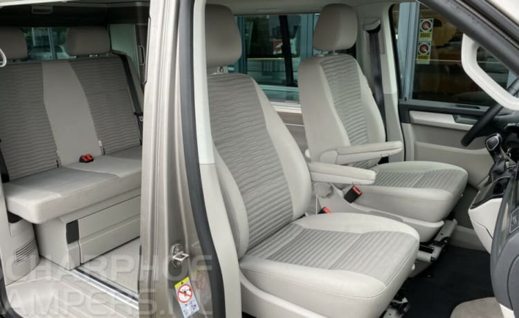 Bulli – Auto originale VW California Ocean T6. Euro6