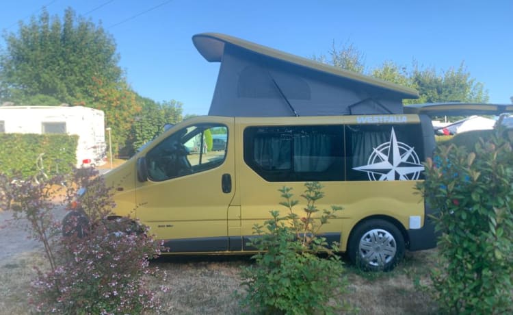 PeiPei – 3/4 seater Renault Trafic from 2003
