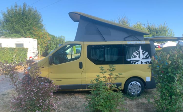 PeiPei – 3/4 persoons Renault Trafic uit 2003