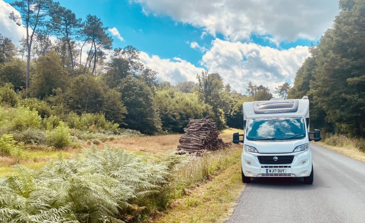 Bertha – Swift-Wohnmobil mit 6 Schlafplätzen