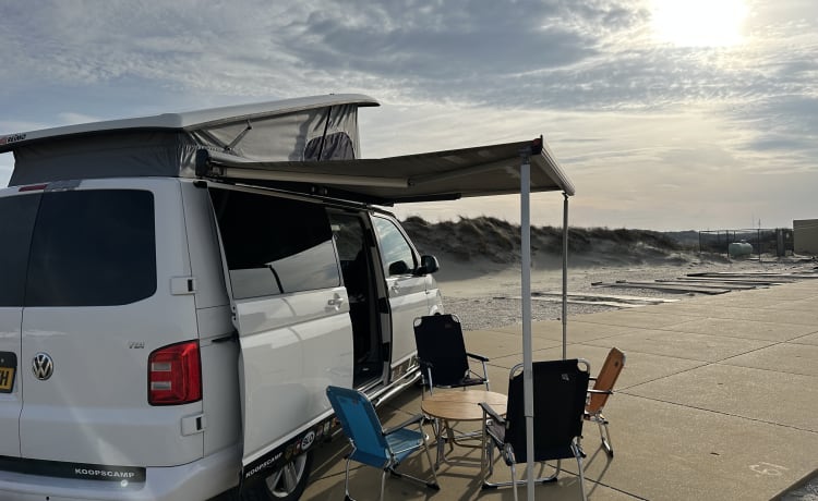 Maui – Camper VW Transporter 2 posti/4 posti