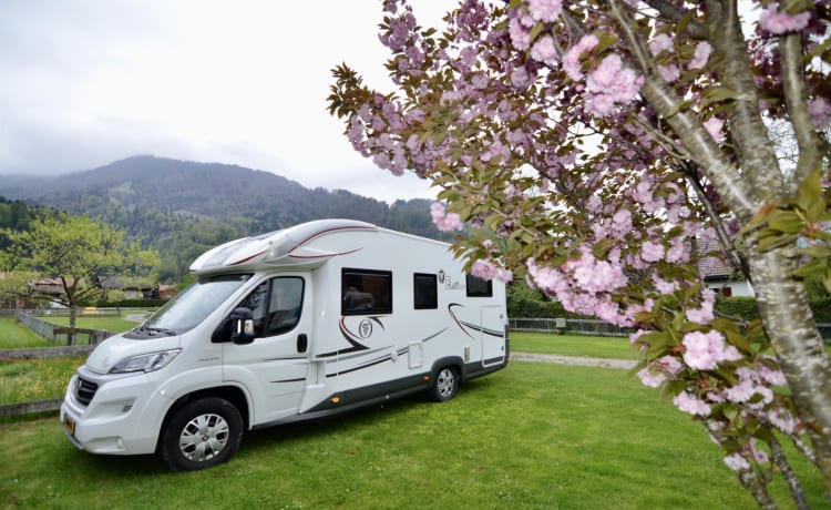 ✅ Luxurious comfortable 5-pers. family camper