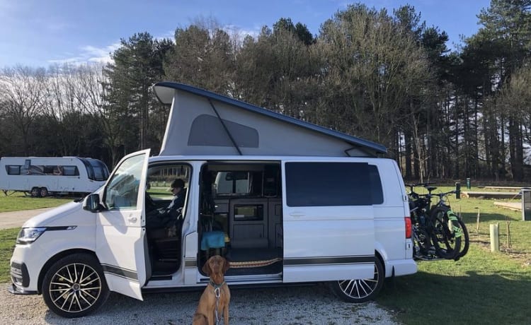 Paddy – 4 berth Volkswagen campervan from 2021
