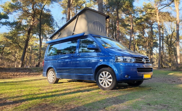 Blauw – Camping-car Volkswagen T5 California Bus avec toit relevable.