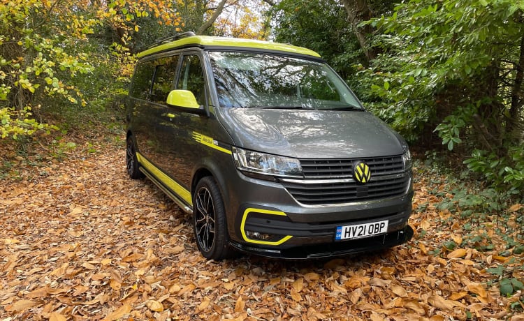 Fergus – 2021 Volkswagen Campervan T6 für 4