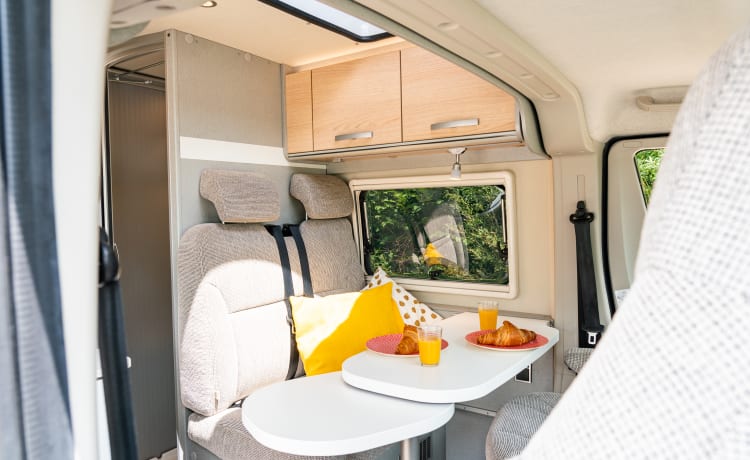 Luxury Hymer bus camper with length beds