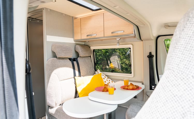 Camper bus Hymer di lusso con letti lunghi