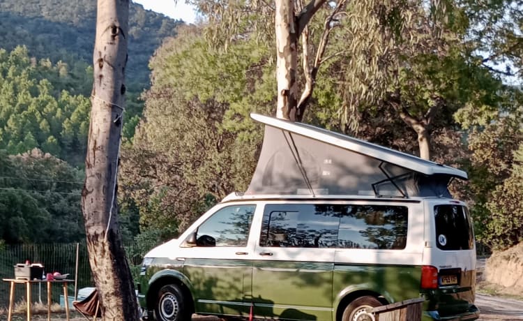 Monty – Le camping-car parfait pour toutes les escapades (VW 4 couchettes, 2019) 