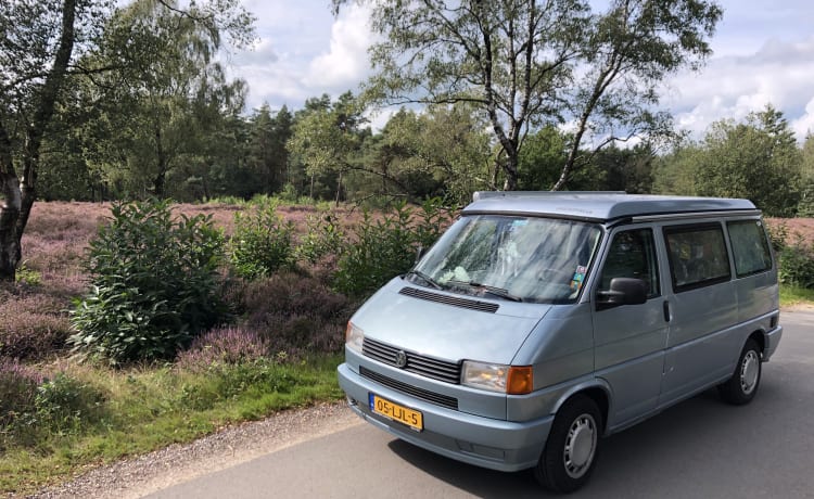 Bussie – 4er Volkswagen Bus von 1996