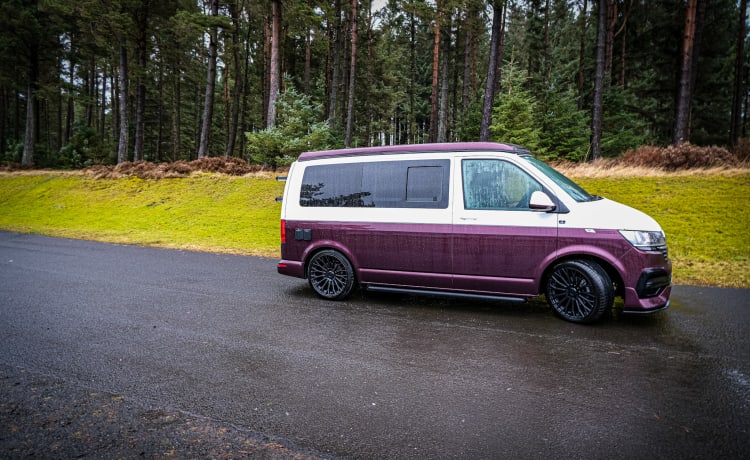 Violet – Volkswagen Campervan 2020 mit 4 Schlafplätzen - Brandneuer Umbau