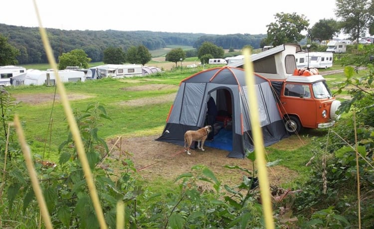 Lady Orange – Volkswagen Camperbus from 1974 (4 pers)