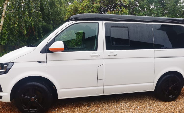 Wilbur – Unieke VW T6 Campervan Full Insurance inc.