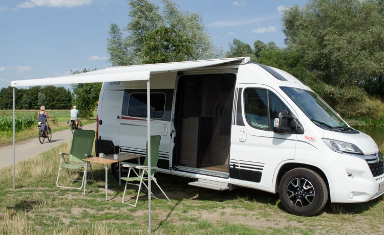 Dan the Campervan – Bürstner Campeo - Autobus 2p dal 2021