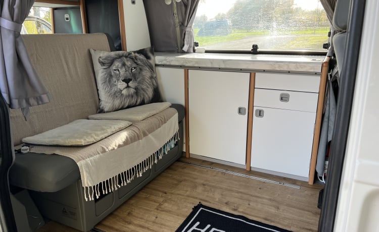 Colin de Camper – Volkswagen T4 California Bus-Wohnmobil, Top-Zustand, mit Extras und Off-Grid