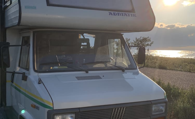 Camping-car familial spacieux et soigné des années 1980 - bien entretenu