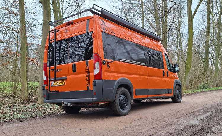 Camper autobus Fiat Ducato da 5 persone (costruito nel 2017) (costruito nel 2023)