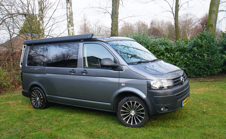 Transporteur Volkswagen T5