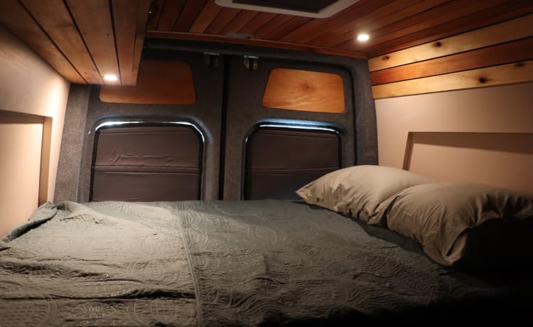 Reddy – Einzigartiger DIY Mercedes Sprinter