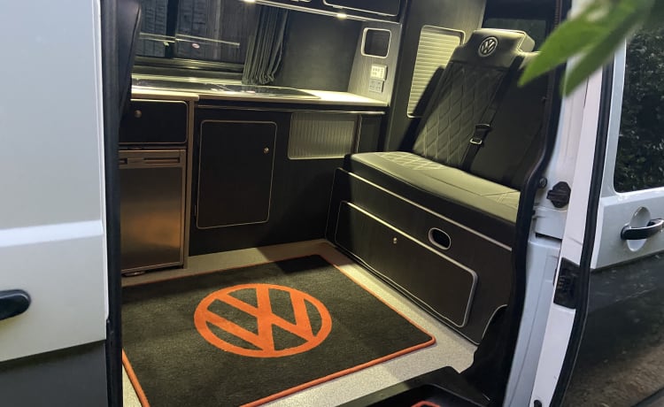 Ivy – Huisdiervriendelijke VW-camper - MK179HD Milton Keynes