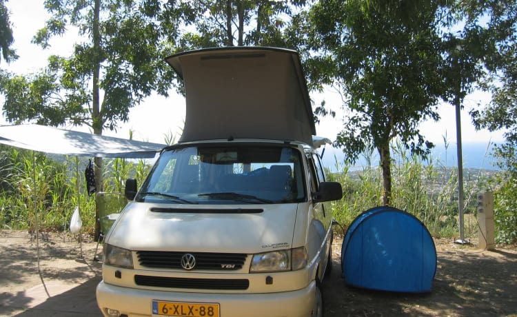 The last real Bulli – Volkswagen T4 California für 4 Personen mit Hubdach