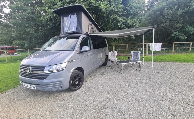 reggie – VW Transporter