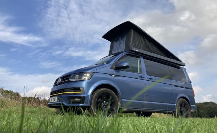 Buzz the Adventure Wagon – VW T6 Campervan mit 4 Schlafplätzen