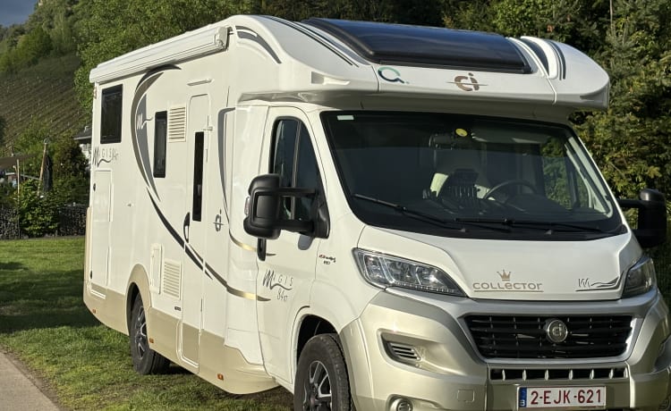 Collector Deluxe – Collector Deluxe 4p Fiat semi-integrated uit 2020