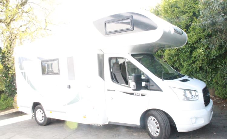 6 berth Chausson alcove from 2019