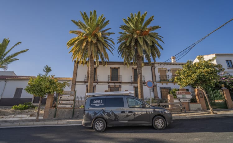 Lizzie – Autobus Volkswagen 2p à partir de 2024