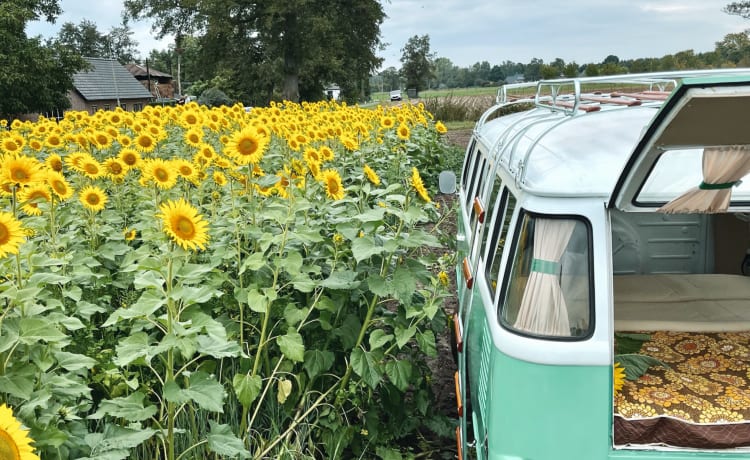 Oldtimer bus volkswagen T2 uit 1985