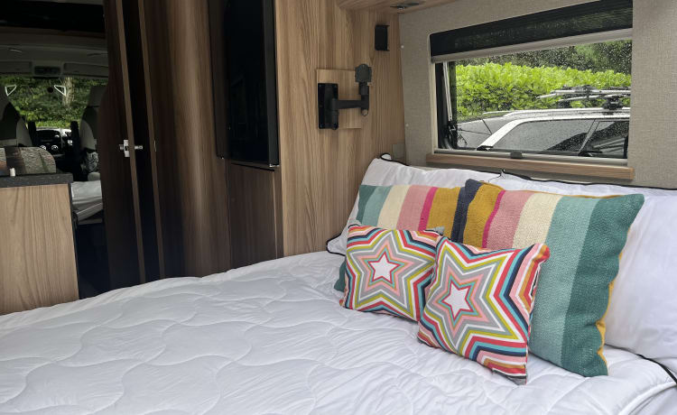 Bumble  – 4 berth Swift Select 184