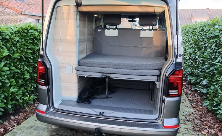 Volkswagen California Ocean T6.1