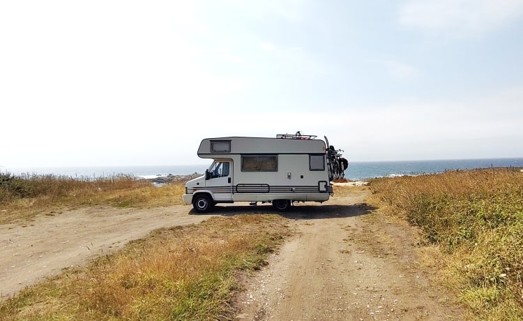 Fiat Ducato Bürstner - Camping-car alcôve 4p de 1992