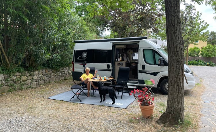 Simpatico hobby camper Bus completo