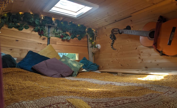 Maura the Boogy Wonder Van  – Superior Land Yacht 