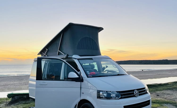 good van only – Volkswagen Californië T5