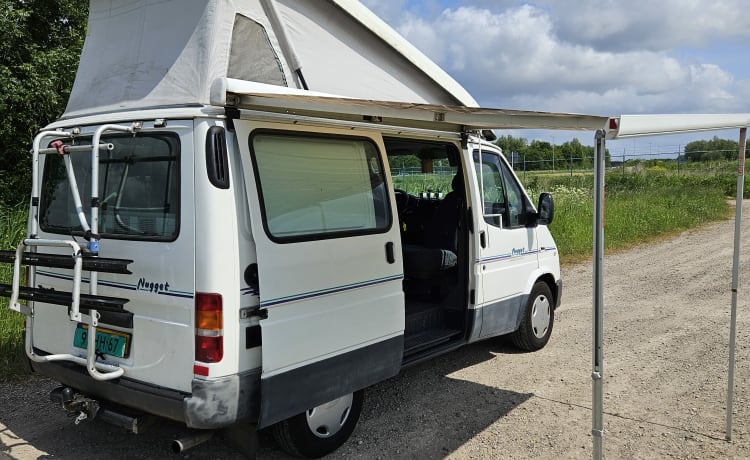 Nugget (chicken) – Bella pepita Ford Transit per 4 persone!